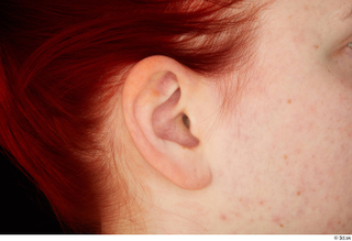 Vanessa Shelby ear 0001.jpg